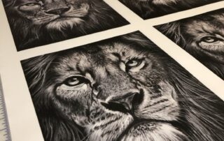 Lion pencil art giclée prints Giclée prints of a detailed lion pencil drawing