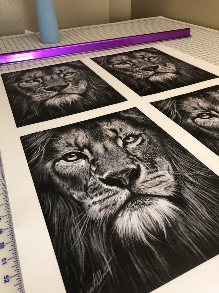 Lion pencil art giclée prints Giclée prints of a lion pencil drawing