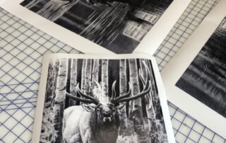 Elk and moose wildlife art prints Wildlife art prints of elk and moose drawings